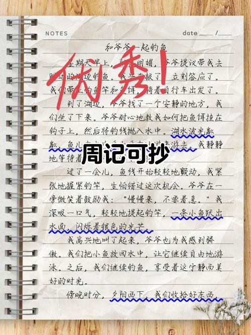 抄周记大全不需要注册就能使用，网友：隐私保障很好