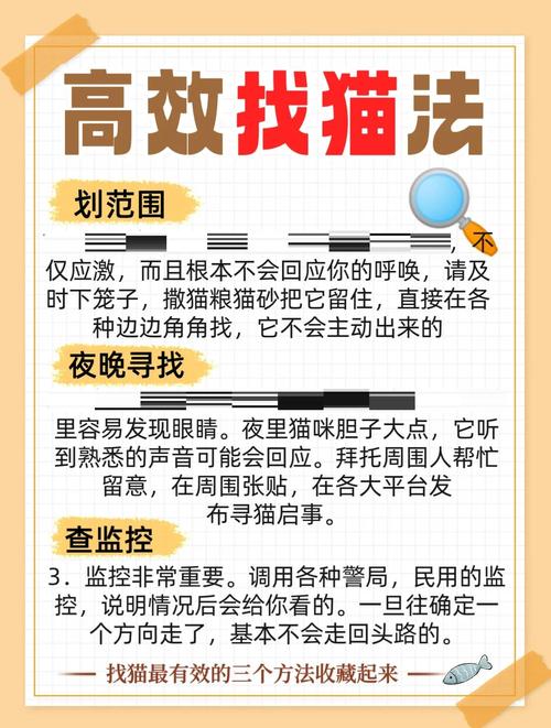 权威专家揭秘：7个猫爪短视频交易网址的必知技巧，安全高效访问指南
