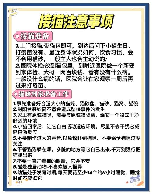 权威专家揭秘：7个猫爪短视频交易网址的必知技巧，安全高效访问指南