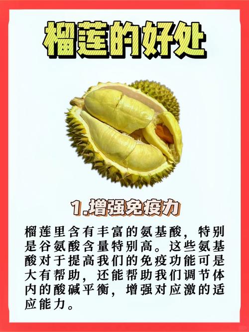 这才是榴莲的真正价值：国内最佳iOS无限观看资源指南，揭秘独特优势