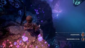 关于光与影33号远征队中埃斯基耶的窝默偶位置的详细介绍——探索路线指南