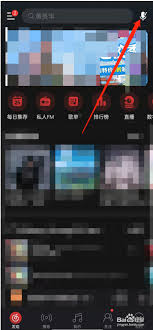 网易云音乐中如何查看听歌识曲的历史记录？在哪些位置可以方便地找到自己曾经识别过的歌曲？
