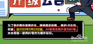 在B站，BV号的使用方法详解——如何正确应用BV编号