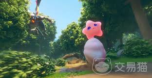 哪里可以体验伊莫的精彩内容？——寻找伊莫的最佳玩乐地点