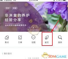 形色app如何进行花卉鉴定的发布流程——详解操作步骤