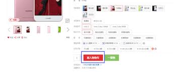 关于在转转平台如何利用白条进行分期支付，以及操作流程的详细指南