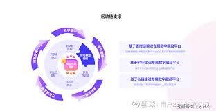 多样化的NFT交易平台涵盖哪些类别——涵盖丰富类型的NFT收藏软件包括哪些不同品类

