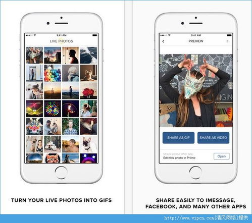 如何将iPhone中的视频转换为GIF动画——详细步骤指南