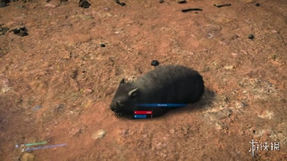 《死亡搁浅2》生动再现了澳大利亚丰富的野生动物生态系统_玩家与袋鼠共同探索