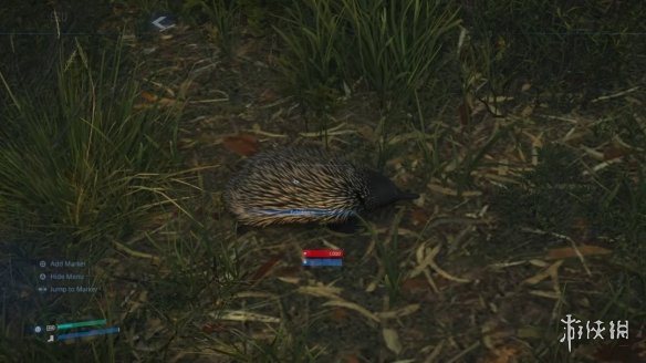 《死亡搁浅2》生动再现了澳大利亚丰富的野生动物生态系统_玩家与袋鼠共同探索