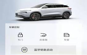 如何在小鹏汽车应用程序中完成车主身份验证-详细流程指导

