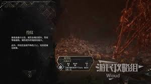 光与影33号远征队如何有效提升符纹等级——详细攻略指南

