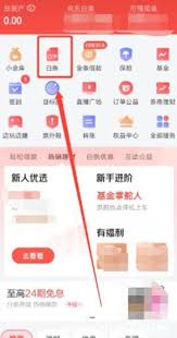 关于如何关闭京东白条账户——即京东白条的注销流程详解
