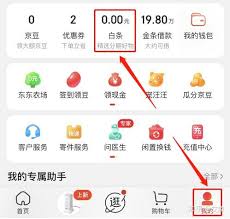 关于如何关闭京东白条账户——即京东白条的注销流程详解
