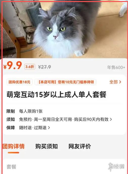 青岛一家撸猫馆每日仅需9.9元,是否堪称“猫界的蜜雪冰城”? 青岛一家撸猫馆每日仅需9.9元,是否堪称“猫界的蜜雪冰城”?