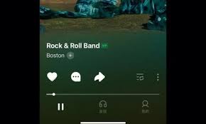 导致汽水音乐无法成功连接的原因分析—汽水音乐连接中断的具体成因