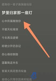 导致汽水音乐无法成功连接的原因分析—汽水音乐连接中断的具体成因