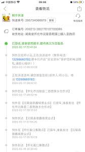 如何有效获取顺丰速运快递单号——多渠道查询技巧详解