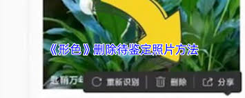 如何在形色应用中移除待鉴定的图片——具体操作指南
