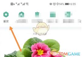 如何在形色应用中移除待鉴定的图片——具体操作指南
