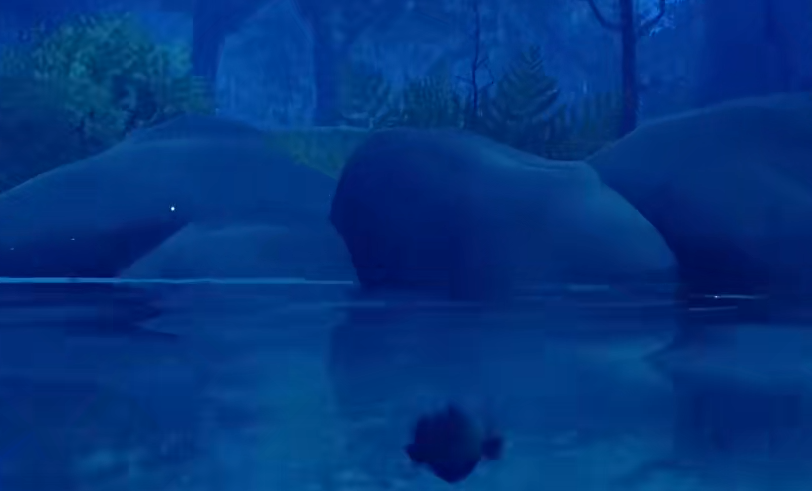 我将为您详细解析《我是小鱼儿》的第二关攻略，帮助您顺利通关。  
