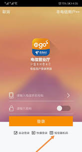 如何查找中国电信账户下的手机号码-中国电信个人名下手机号的查询方法
