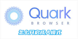 如何在夸克浏览器中启用成人模式——详细操作指南  
