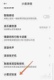 苹果手机如何调整小爱同学的方言——详细的设置指南 苹果手机如何调整小爱同学的方言——详细的设置指南