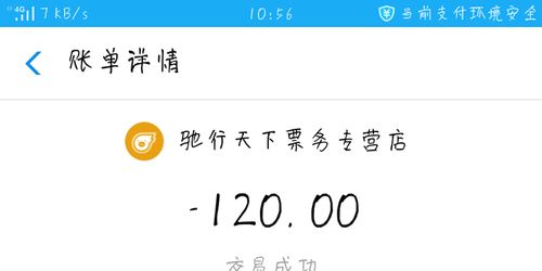 在争夺车票成功的概率方面，智行与飞猪哪个表现更为出色——对比两者抢票效率的优劣