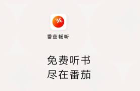 关于番茄畅听是否能每日赚取百元的真实性-它真的有可能每天获得一百元吗？

