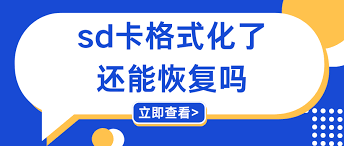 格式化后的SD卡还能恢复吗？——详细介绍SD卡格式化后数据恢复的实用方法

