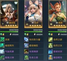 荒野国度初期探索阵容搭配指南——荒野国度开荒策略详解