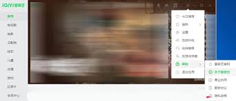 如何在爱奇艺体育平台上查阅隐私政策——详细指南