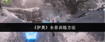 关于伊莫全息训练的具体方法有哪些？- 伊莫全息训练常用的技巧和策略