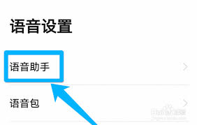 如何调节高德地图的导航语速——详细设置方法解析
