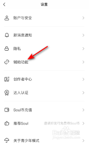 Soul软件中的聊天记录突然不显示，应该如何有效应对？-解决Soul聊天记录不出现的问题的具体方法
