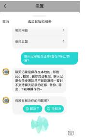 Soul软件中的聊天记录突然不显示，应该如何有效应对？-解决Soul聊天记录不出现的问题的具体方法