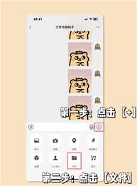 为什么通过微信拍摄的视频不会自动存入相册？-微信拍视频不保存到相册的详细原因解析