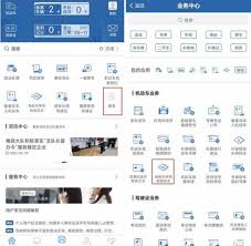 如何在交管12123平台上获取免检标志——详细操作指南
