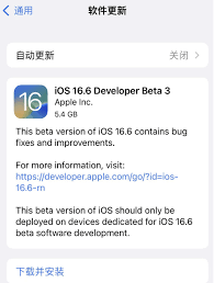 关于iOS 16.6 beta3版本的升级方式——以及该版本在优化方面的建议，有哪些内容值得注意？
