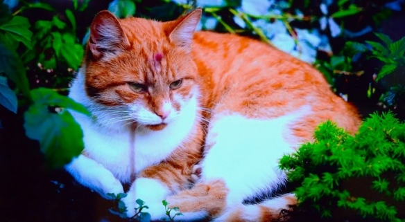 三星S85F系列电视掀起了一阵狂潮!结合AI技术与OLED显示,打造了顶尖的视听盛宴 三星S85F系列电视掀起了一阵狂潮!结合AI技术与OLED显示,打造了顶尖的视听盛宴