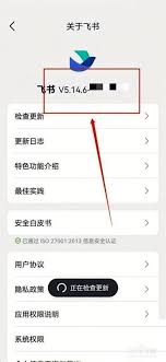 如何查阅飞书的版本信息—详细方法指南