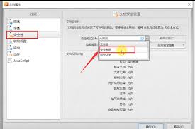 金舟PDF编辑器如何设置安全密码-金舟PDF编辑器怎样配置保护性密码