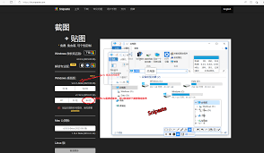 如何修复Snipaste安装包损坏——Snipaste安装包损坏的修复方法详解
