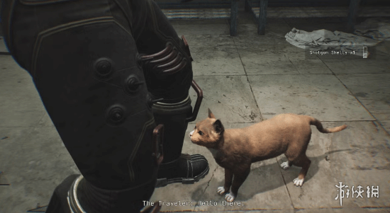 在恐怖游戏中遇见萌萌哒小猫咪？《时间旅者》竟然融入了撸猫玩法