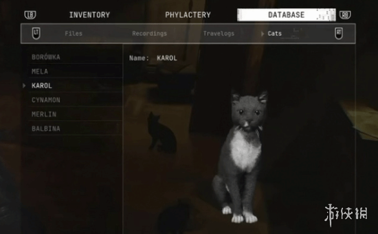 在恐怖游戏中遇见萌萌哒小猫咪？《时间旅者》竟然融入了撸猫玩法