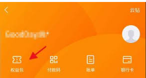 如何在苏宁易购平台上查询消费金余额 - 苏宁易购消费金查看指南