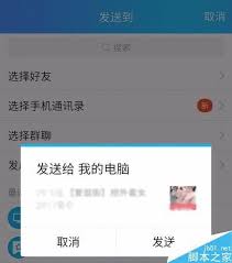 在拼多多平台上，如何快速找到运费险的相关信息？- 拼多多运费险的具体查找途径详解

