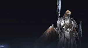 关于艾尔登法环中黑夜君临守护者反伤流的操作方式——详尽攻略解析