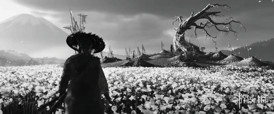 《羊蹄山》续篇融合日本电影大师的魂——黑泽明式叙事手法与三池崇史的极端暴力风格